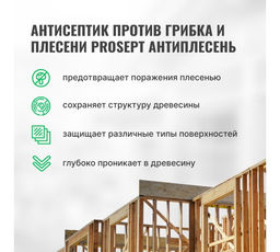 PROSEPT АНТИПЛЕСЕНЬ - универсальный антисептик против грибка и плесени, гот.состав, 5л  фото 4