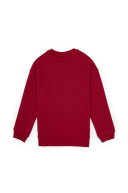 Erkek _ocuk Koyu Frambuaz Bisiklet Yaka Basic Sweatshirt - U.s. polo assn фото 2