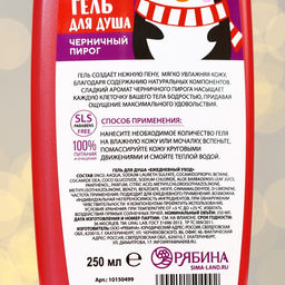 Winter Melody, гель для душа, 250 мл, черничный пирог - URAL LAB фото 3