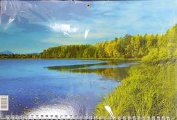 Календарь трехрядный (квартальный), 30*21см, на 2022 год Лесное озеро (41)