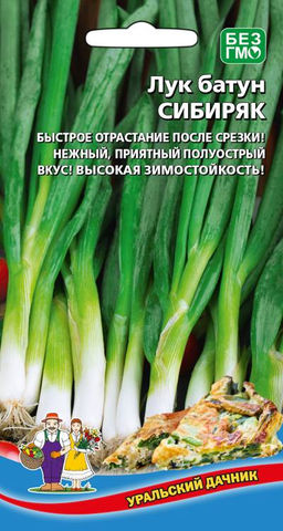 Лук батун СИБИРЯК Быстрое отрастание после срезки! Нежный, приятный полуострый вкус! Зимостоек!