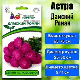 3279P Астра китайская ДАМСКИЙ РОМАН 5шт
