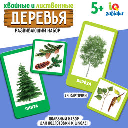 Цена за 2 шт. Развивающий набор «Хвойные и лиственные деревья»