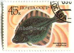 Марка Звездчатая камбала 1983 год