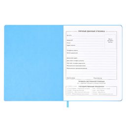 Дневник школьный арт. 58732 / 15 ЛАК РОЗОВЫЙ - Феникс+ фото 4