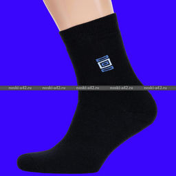 Цена за 10 пар. Василина носки мужские внутри махра хлопок 29  фото 4