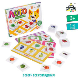 Лото Растительный мир по методике Г. Домана