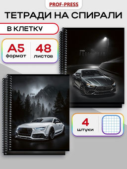 Тетрадь 48л. на цв.спирали Prof-Press "Туманная дорога" клетка (48-8323)