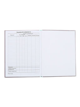 Цена за 2 шт. Дневник универсальный для 1-11 классов, «Котята», твердая обложка 7БЦ, глянцевая ламинация, 40 листов