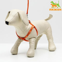 Комплект амуниции Собачки, поводок 120 х 1 см, ОГ 27-42 см, оранжевый