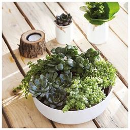 LUMINARC Блюдо глубокое ДИВАЛИ 26см  фото 6