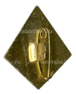 Значок Сочи  Лето