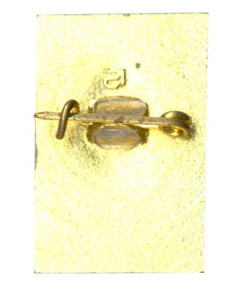 Значок Петродворец