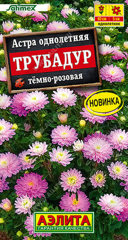Астра Трубадур тёмно-розовая
