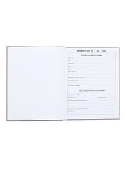 Цена за 2 шт. Дневник универсальный для 1-11 классов, «Котята», твердая обложка 7БЦ, глянцевая ламинация, 40 листов