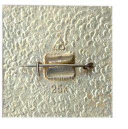 Значок Суздаль