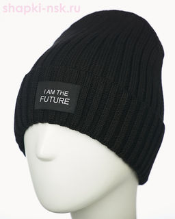 017 1S/1 IF SHM Дарвел Колпак мужской (58-60)