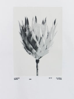 Футболка regular fit с принтом / Zarina