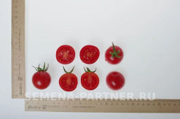 Томат Дирижер - Партнер фото 7