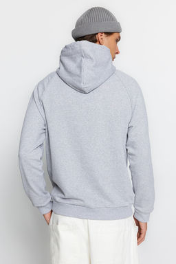 TRENDYOL MAN Gri Regular/Normal Kesim Kapusonlu Ici Polar/S?cak Tutan Sweatshirt TMNAW23SW00194 - Trendyolmilla фото 41