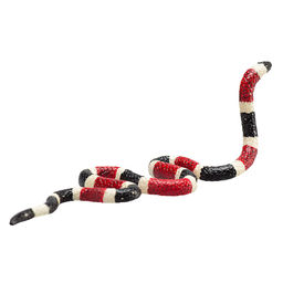 Коралловая змея