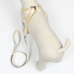 Комплект с мягкой шлейкой Веточки, размер L, поводок 120 х 1,5 см, ОГ 42-76 см, серый - Пижон фото 3