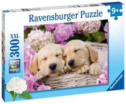 Ravensburger. Пазл карт. 300 арт.13235 "Сладкие щенки в корзинке"