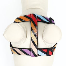 Комплект амуниции двухслойный, размер L, поводок 120 х 2 см, ОШ 31-45 см , ОГ 35-52 см, разноцветный - Пижон фото 8