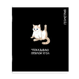 Тетрадь предметная арт. 69821/ 16 КОТЫ МЕМЫ ГЕОМЕТРИЯ /48 л., А5+, вн.блок - клетка, белый офсет,