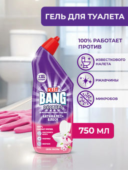 СИЛИТBang дез.ср-во д/туалета Антиналет+Блеск 750мл Сила весны