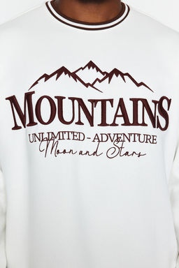 Ekru Buyuk Beden Oversize Nak?sl? Bisiklet Yaka Detayl? Ici Yumusak Pamuk Sweatshirt TMNAW24AO00022 - Trendyolmilla фото 5