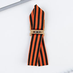 Значок с георгиевской лентой на 9 мая «Я помню! Я горжусь!», 3.5×4 см