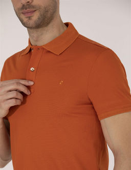 Kahverengi Regular Fit Polo Yaka Merserize Ti__rt - Pierre cardin фото 7