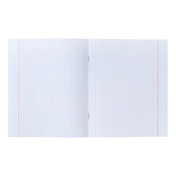 Комплект тетрадей из 5 штук 48 листов в клетку Calligrata TOP «Девушка и лев», обложка мелованный картон, голографическая ламинация, блок офсет