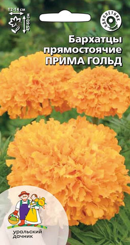 Бархатцы ПРИМА ГОЛЬД прямостоячие