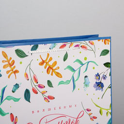 Цена за 2 шт. Пакет подарочный ламинированный, упаковка, Best wishes, L 28?38?9 см