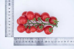 Томат Каменный Цветок F1 - Партнер фото 5