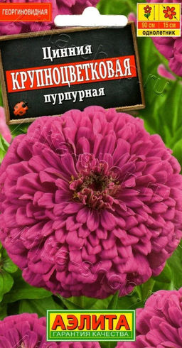 Цинния Крупноцветковая пурпурная 0,3г (Аэлита)