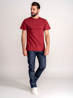 Футболка мужская короткий рукав GREG G145-RD-1061_R (бордовый)  фото 4