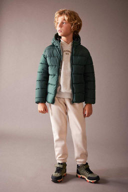 Базовая куртка-пуховик с водоотталкивающим капюшоном для мальчиков - Defacto фото 2