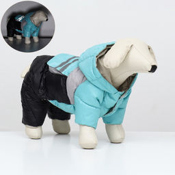 Комбинезон Анорак светоотражающий, размер 16 (ДС 36, ОГ 46, ОШ 35 см), чёрно-голубой