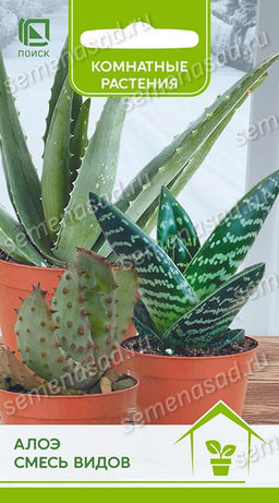 Алоэ Смесь видов (ЦВ) ("К) 10шт.