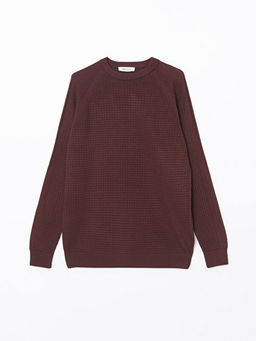 Bisiklet Yaka Erkek Triko Kazak