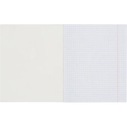 Цена за 2 шт. Тетрадь общая А5 48л Shark,клет,скреп, ВД-лак