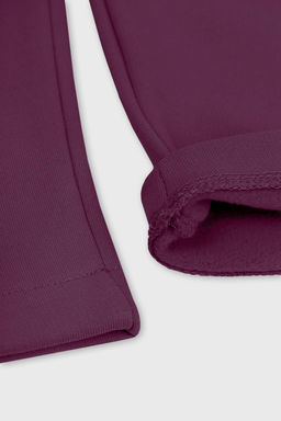 ЕВТ 4043-1/24/сливовое вино брюки жен