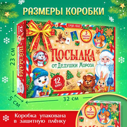 Подарок на Новый год для детей Посылка от Дедушки Мороза, большой новогодний подарочный набор книг 12 шт., письмо деду морозу, адвент - бродилка, значки