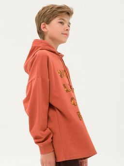 Pelican BFNK5296/1 толстовка для мальчиков  фото 4