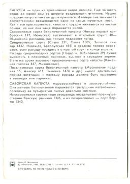 Открытка Капуста