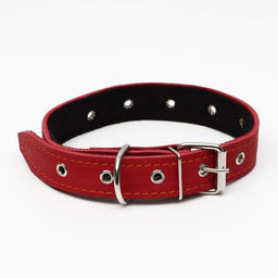 Ошейник кожаный на синтепоне, безразмерный, 65 х 3 см, ОШ 22-55 см, красный - Пижон фото 2