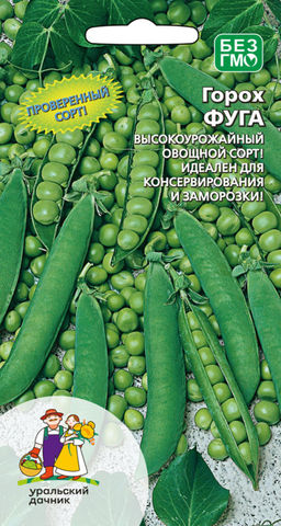 Горох ФУГА  Высокоурожайный сорт! Идеален для консервации и заморозки!